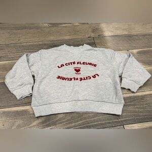 Zara La Cite Fleurie Paris Heart Pullover Size 8-9